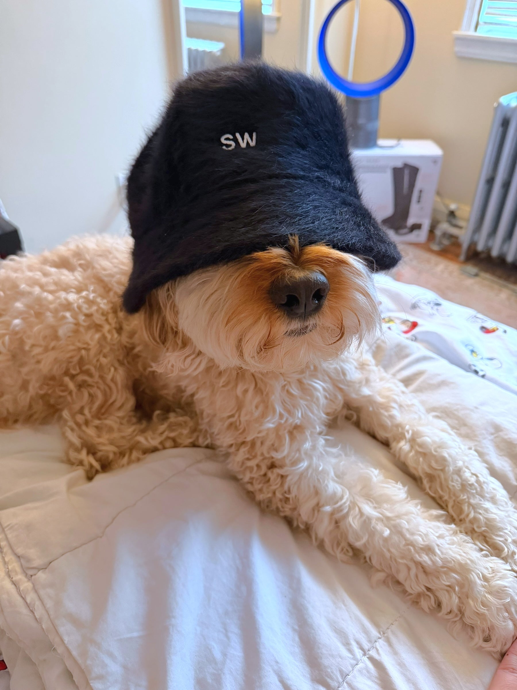 Saintwoods Fuzzy Bucket Hat