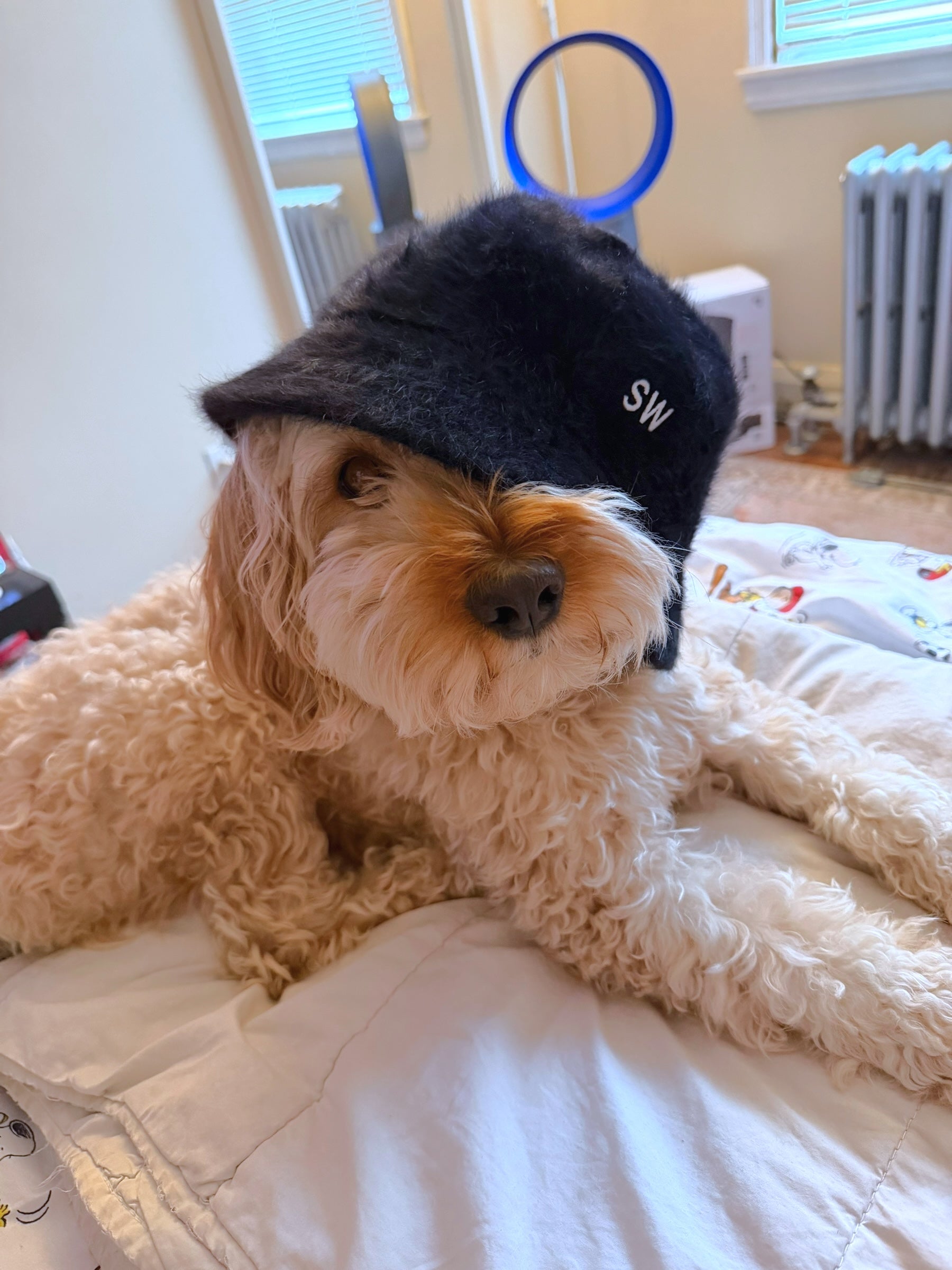 Saintwoods Fuzzy Bucket Hat